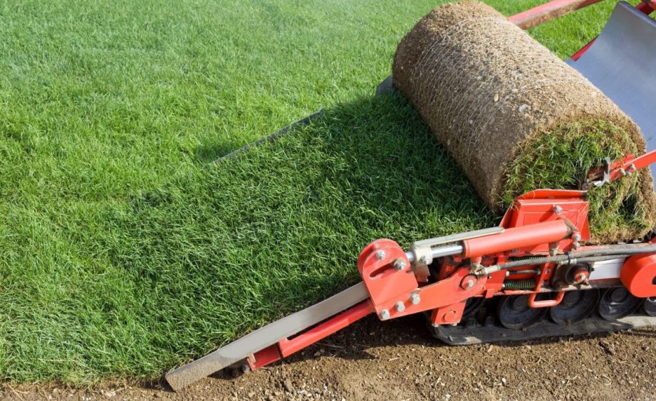 gazon en plaque lyon